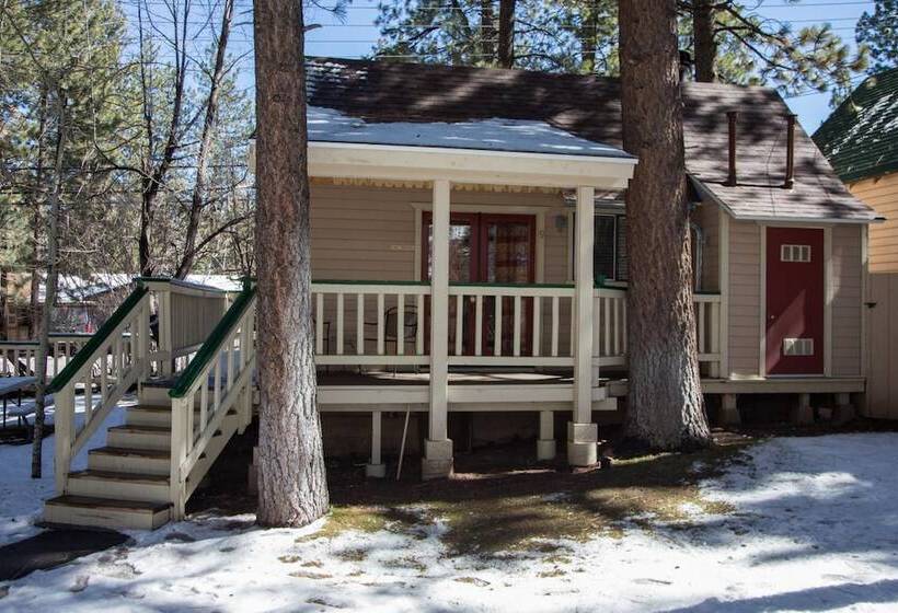 هتل Sleepy Forest Cottages