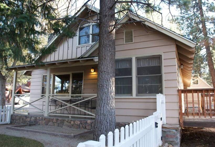 هتل Sleepy Forest Cottages