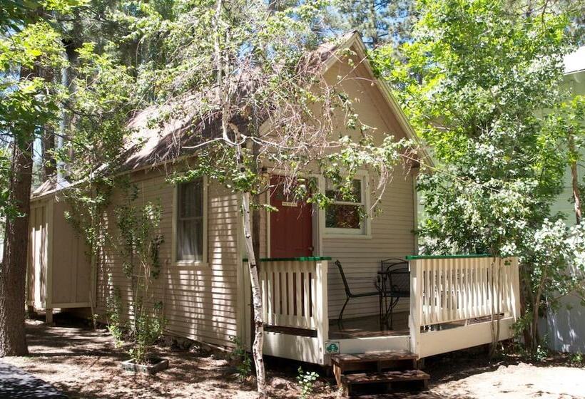 هتل Sleepy Forest Cottages