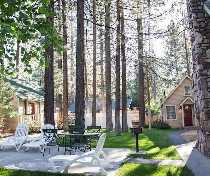 هتل Sleepy Forest Cottages