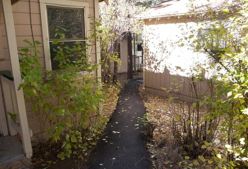 هتل Sleepy Forest Cottages