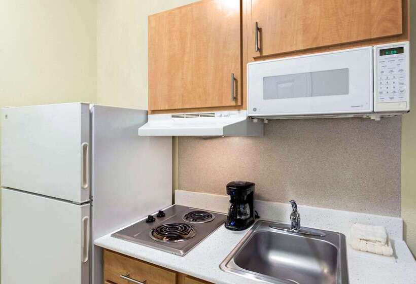 酒店 Suburban Studios Lewisville