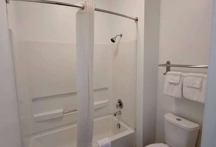 酒店 Super 8 By Wyndham Forney/east Dallas