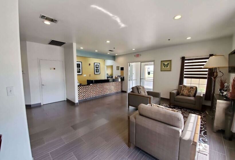 酒店 Super 8 By Wyndham Forney/east Dallas