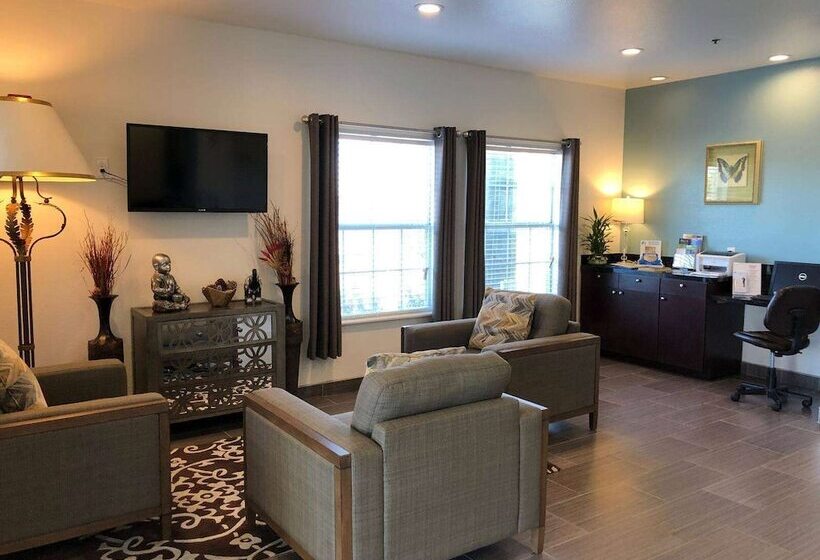 酒店 Super 8 By Wyndham Forney/east Dallas