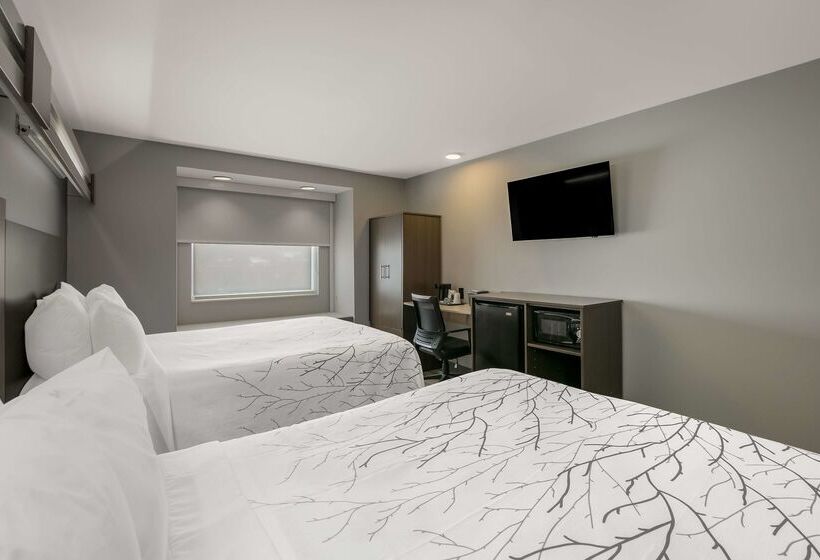 Surestay Plus Hotel By Best Western Sevierville