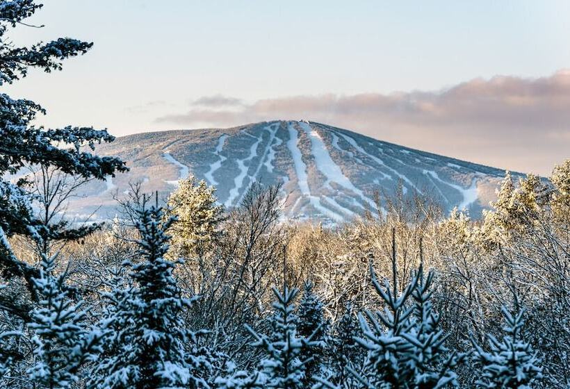 فندق The Black Bear Lodge At Stratton Mountain Resort