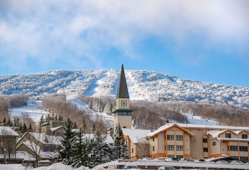 فندق The Black Bear Lodge At Stratton Mountain Resort