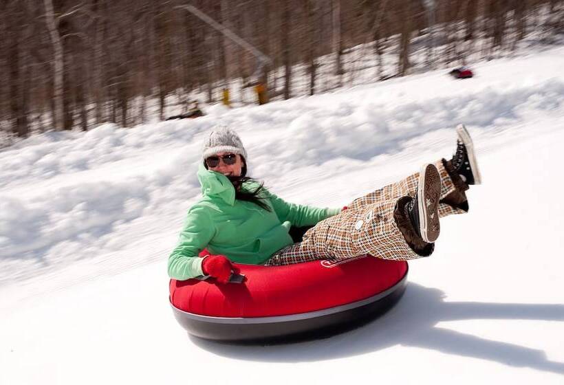 فندق The Black Bear Lodge At Stratton Mountain Resort