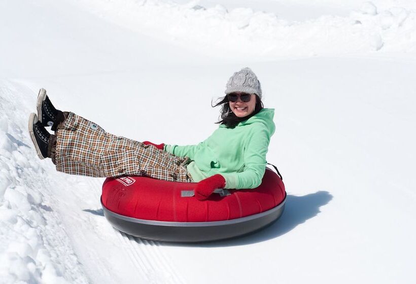 فندق The Black Bear Lodge At Stratton Mountain Resort