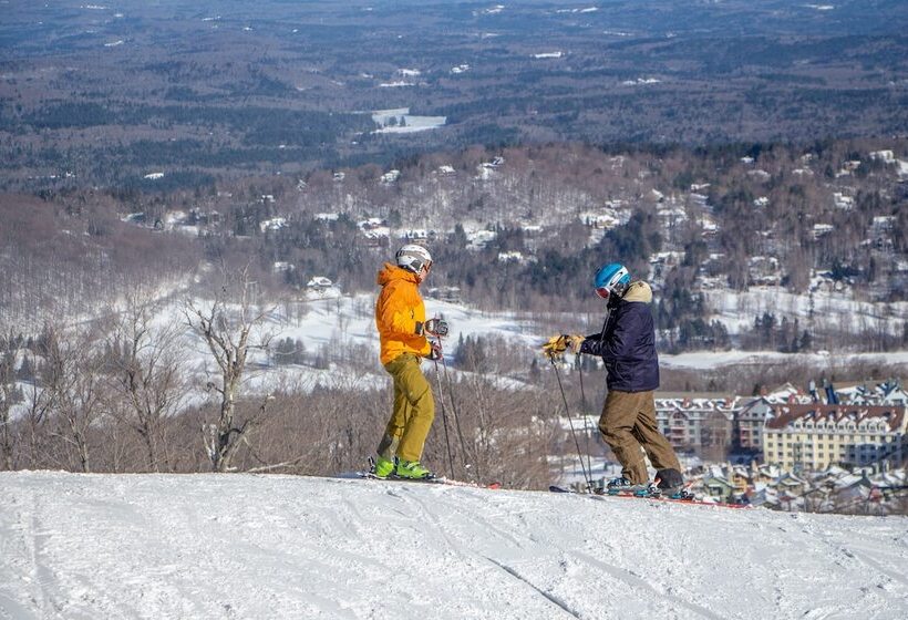 فندق The Black Bear Lodge At Stratton Mountain Resort