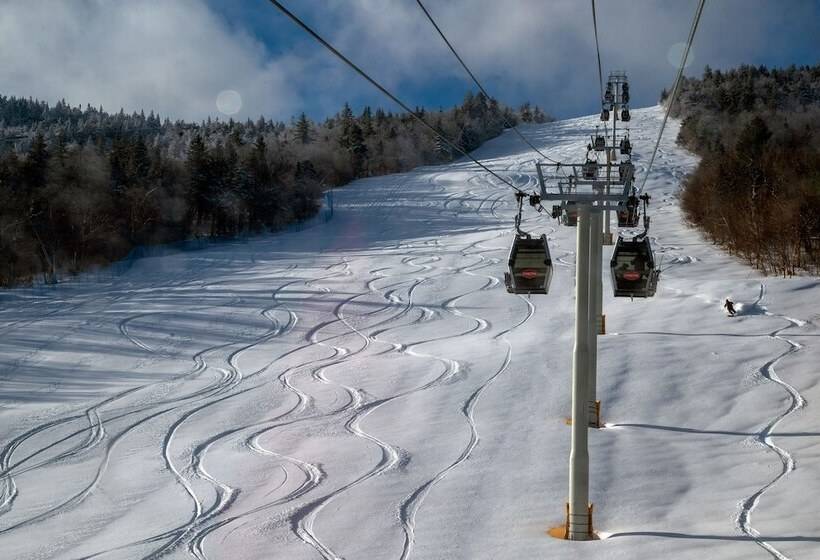 فندق The Black Bear Lodge At Stratton Mountain Resort