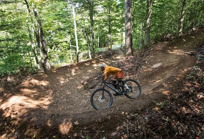 فندق The Black Bear Lodge At Stratton Mountain Resort