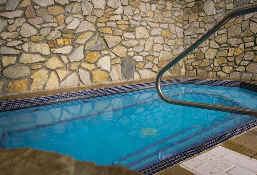 فندق The Black Bear Lodge At Stratton Mountain Resort