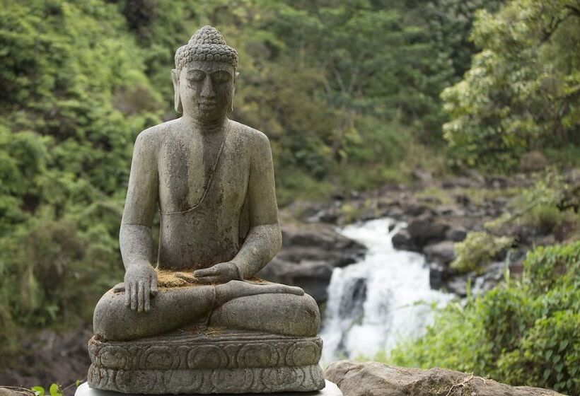 호텔 The Inn At Kulaniapia Falls