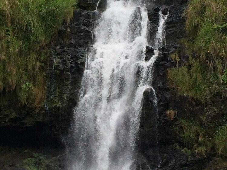 호텔 The Inn At Kulaniapia Falls