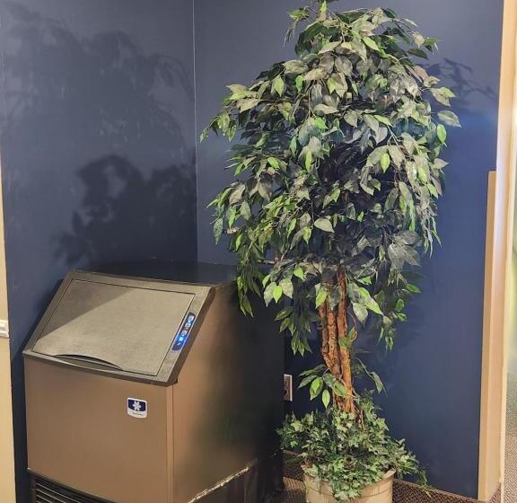 酒店 Weathervane Inn