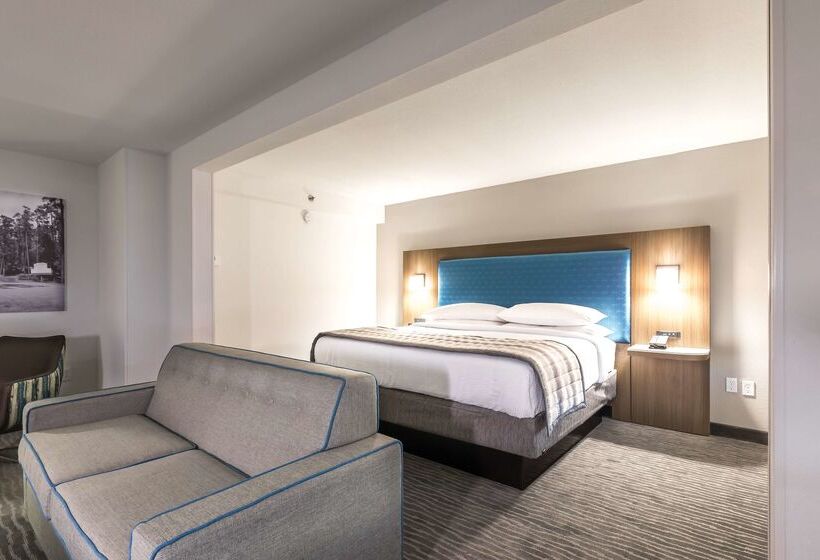 בית מלון כפרי Wingate Augusta Washington Road By Wyndham