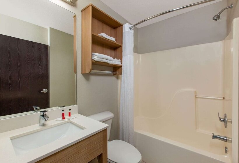 Microtel Inn & Suites By Wyndham Augusta/riverwatch