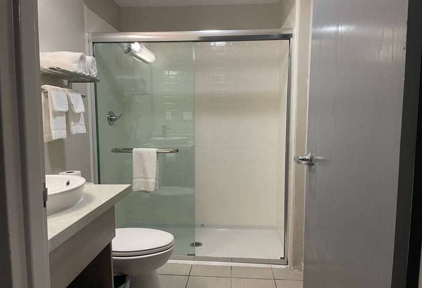 Microtel Inn & Suites By Wyndham Bossier City