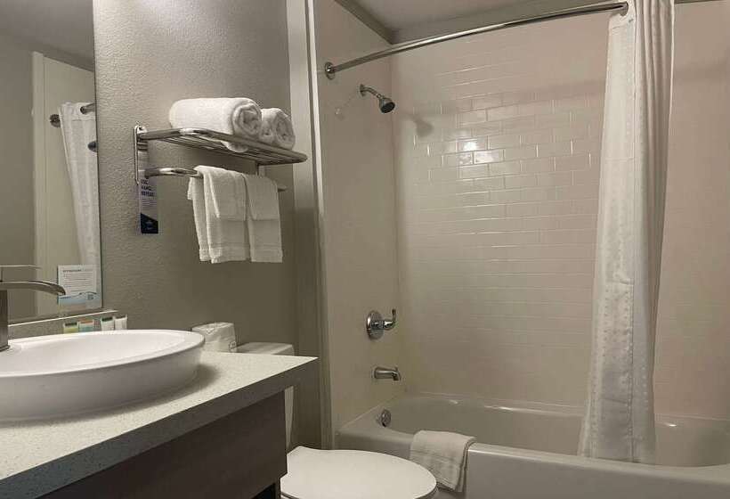 Microtel Inn & Suites By Wyndham Bossier City