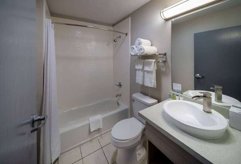 Microtel Inn & Suites By Wyndham Bossier City