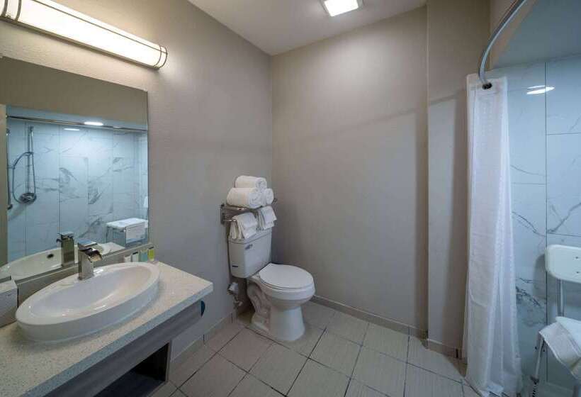 Microtel Inn & Suites By Wyndham Bossier City