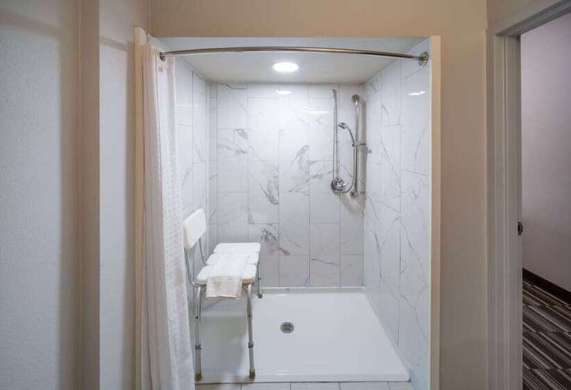 Microtel Inn & Suites By Wyndham Bossier City