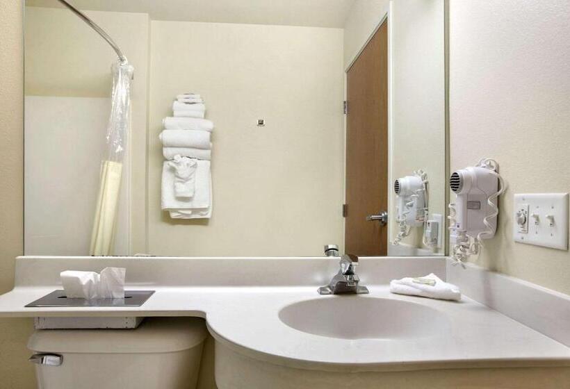 Microtel Inn & Suites By Wyndham Bozeman