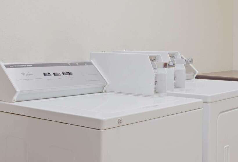 Microtel Inn & Suites By Wyndham Brandon