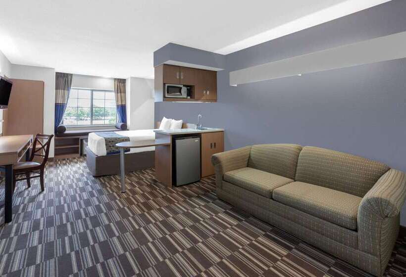 Microtel Inn Suite By Wyndham Bwi Airport