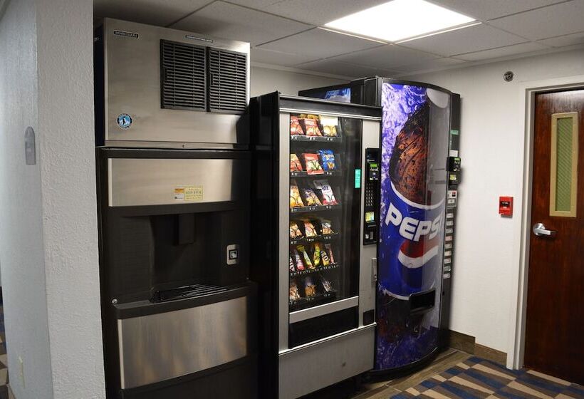 Microtel Inn Suite By Wyndham Bwi Airport