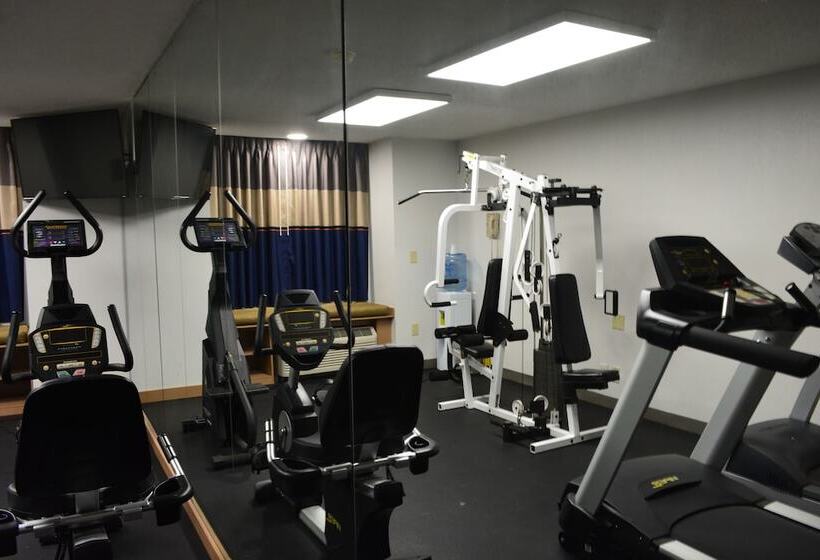 Microtel Inn Suite By Wyndham Bwi Airport