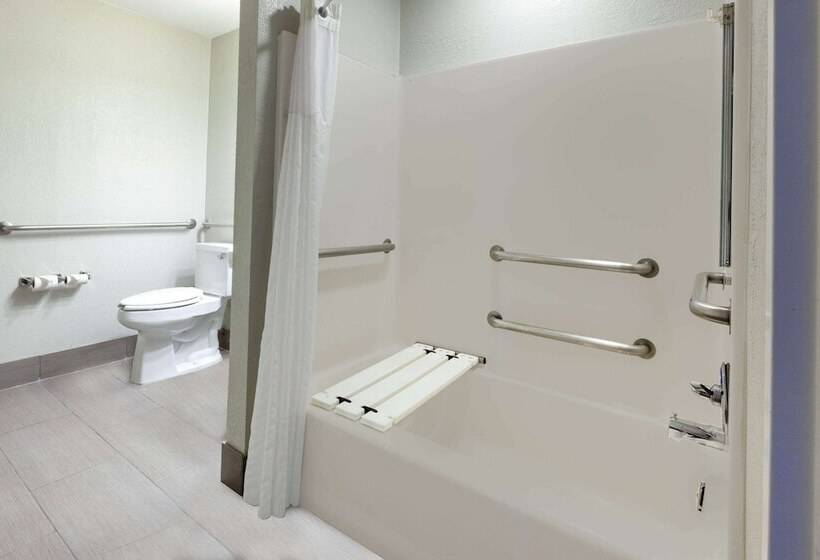 Microtel Inn Suite By Wyndham Bwi Airport