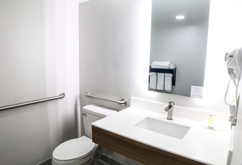 Microtel Inn & Suites By Wyndham Charlotte/northlake