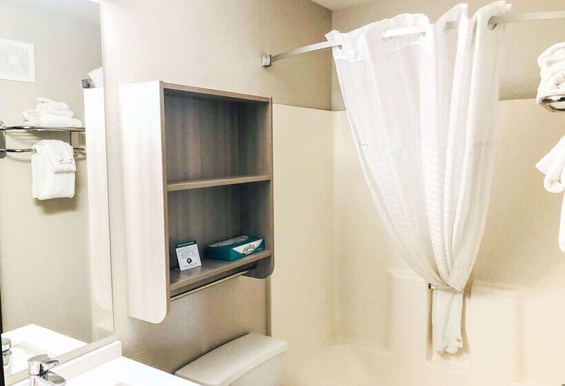 Microtel Inn & Suites By Wyndham Eagan/st Paul