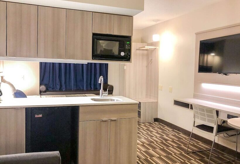 Microtel Inn & Suites By Wyndham Eagan/st Paul