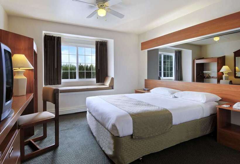 Eagle River Microtel