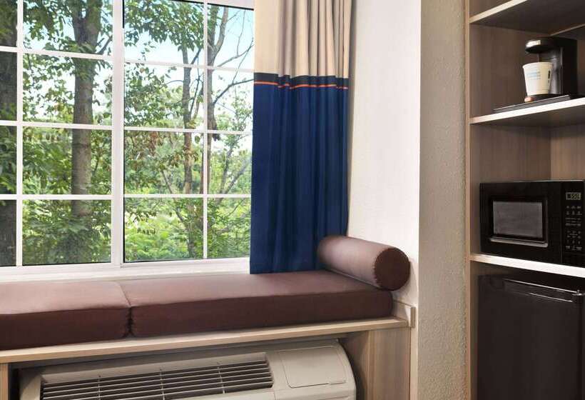 Microtel Inn & Suites By Wyndham Florence/cincinnati Airpo