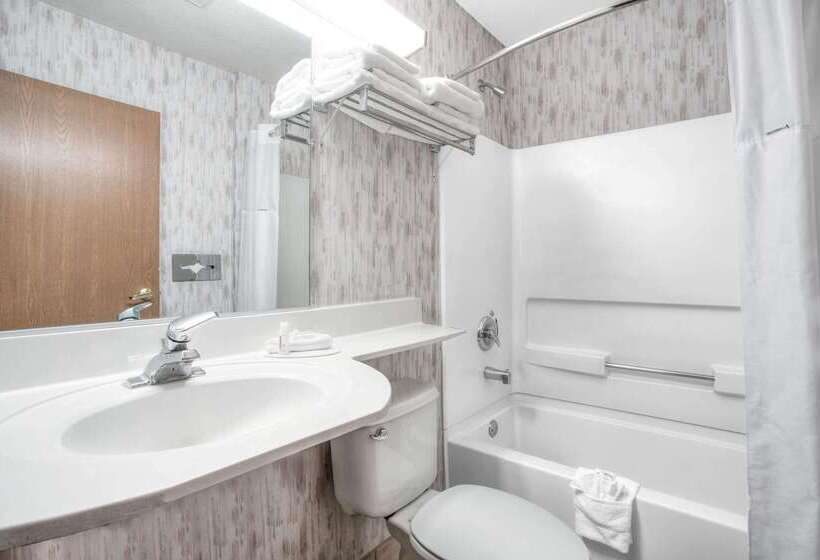 Microtel Inn & Suites By Wyndham Gallup   Pet Friendly