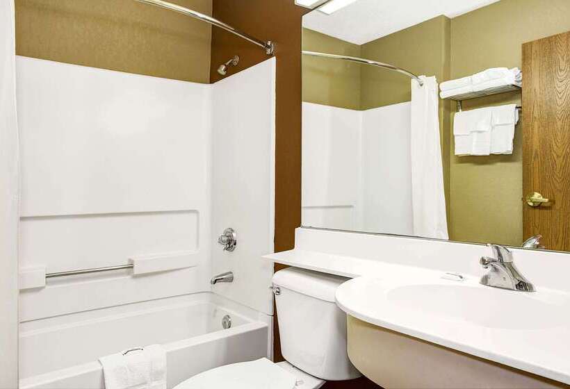 Microtel Inn & Suites By Wyndham Mason