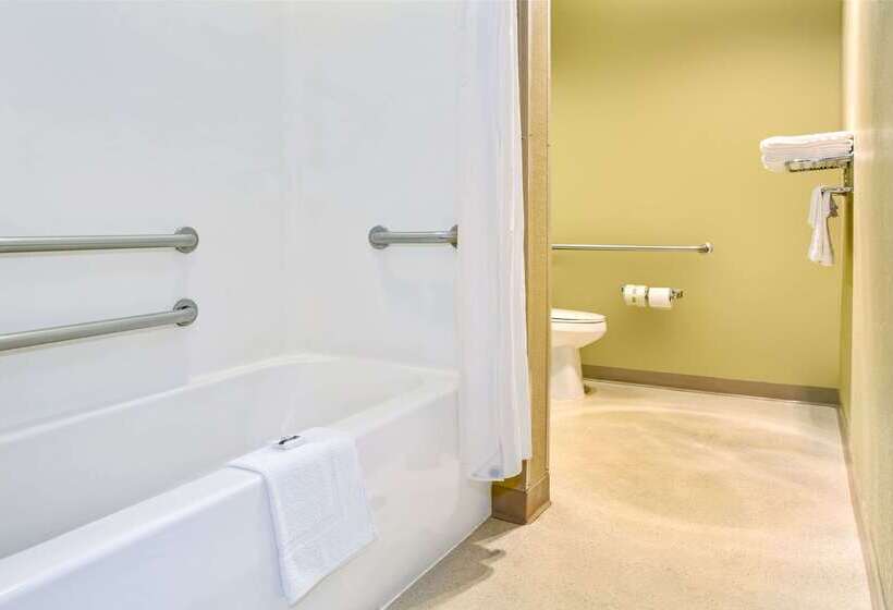 Microtel Inn & Suites By Wyndham Mason