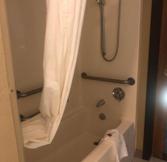 Microtel Inn & Suites By Wyndham Mason