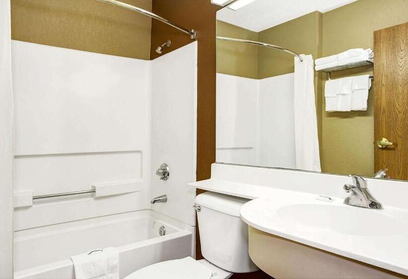 Microtel Inn & Suites By Wyndham Mason