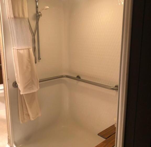 Microtel Inn & Suites By Wyndham Mason