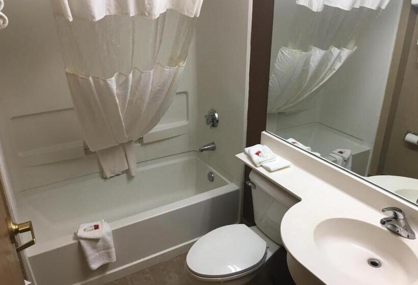 Microtel Inn & Suites By Wyndham Mason