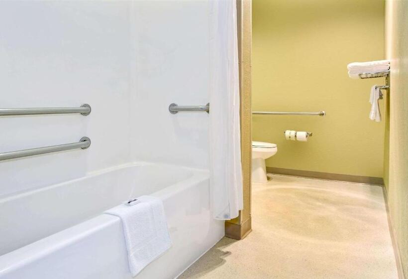 Microtel Inn & Suites By Wyndham Mason