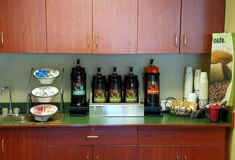 Microtel Inn & Suites By Wyndham Rapid City