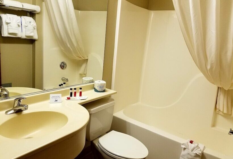 Microtel Inn & Suites By Wyndham Rapid City