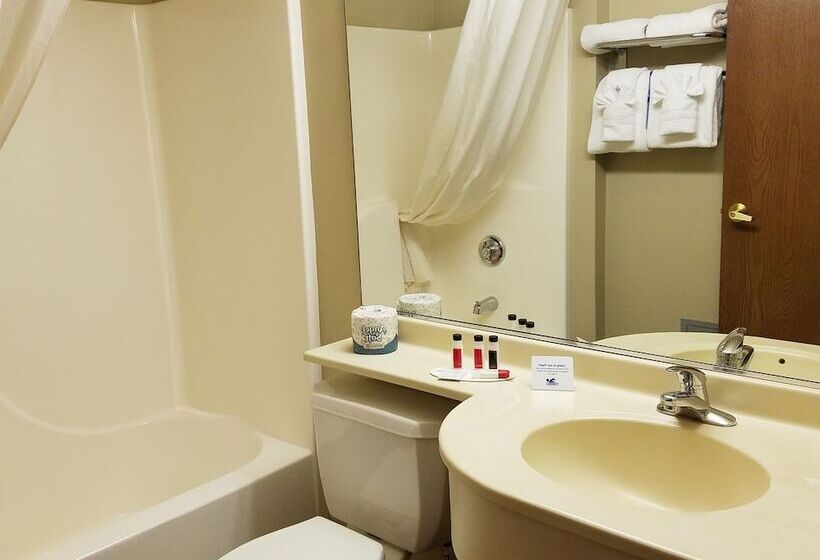 Microtel Inn & Suites By Wyndham Rapid City